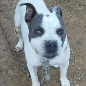 Meet your Posher, Sergio